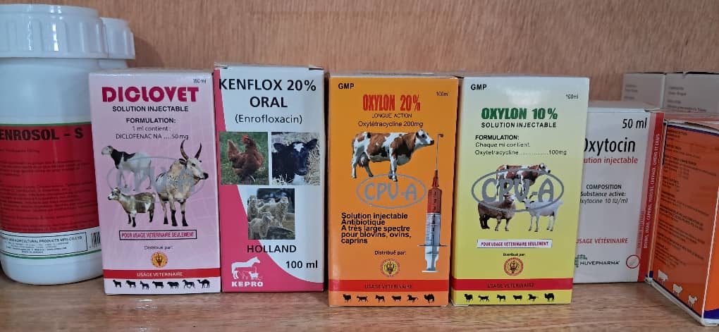 Espace parapharmacie et conseils bien-être